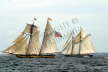 Pride of Baltimore II & Ernestina