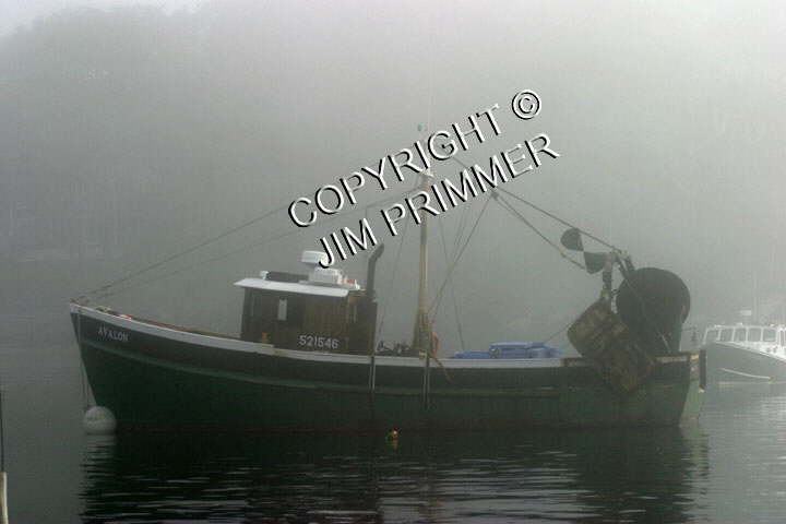 Avalon Fog - New Harbor ME