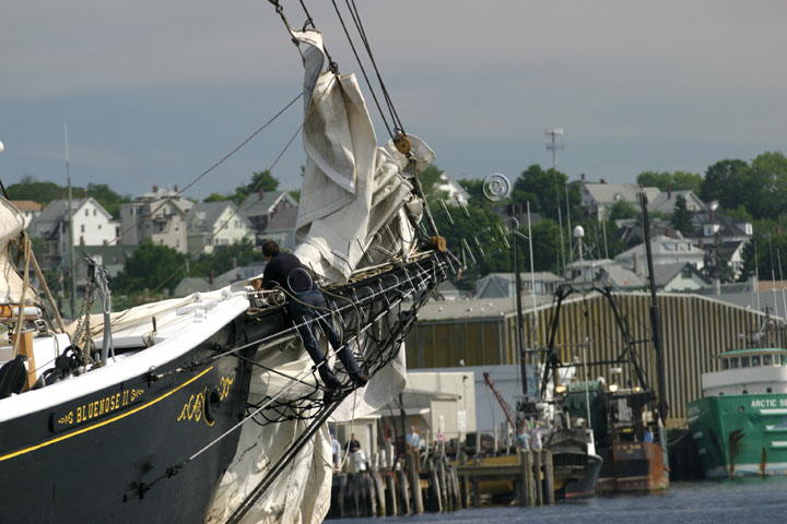 Bluenose II