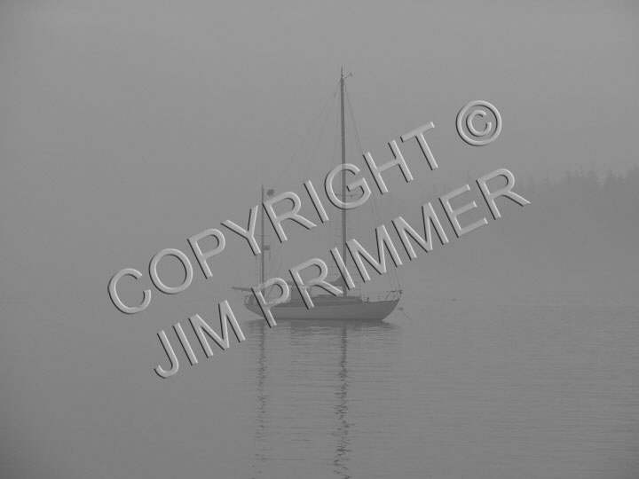Fog I