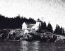 Burnt Coat Light Graphic Pen - Swans Isle ME