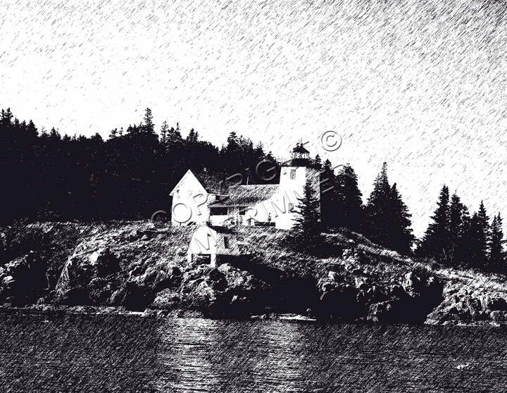 Burnt Coat Light Graphic Pen - Swans Isle ME