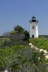 Path to Edgartown Light