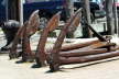 Firmly Anchored