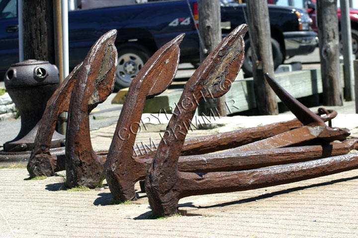 Firmly Anchored