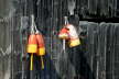 Buoys - New Harbor ME