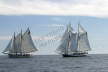 Liberty Clipper & American Eagle