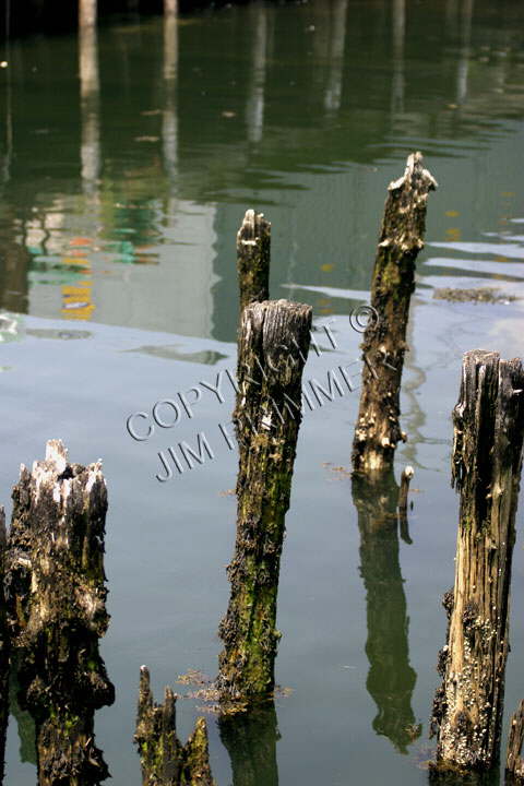 Reflective Pilings