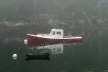 Morningwood Fog - New Harbor ME