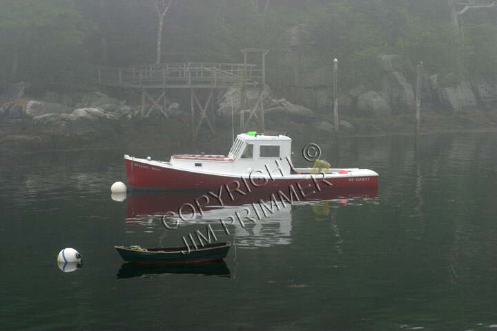 Morningwood Fog - New Harbor ME