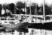 Schooners - Graphic Pen