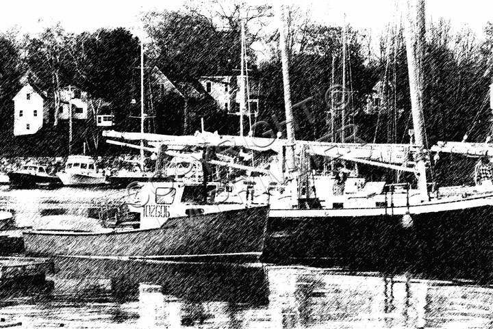 Schooners - Graphic Pen