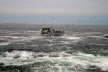 A rough Day at Pemaquid Point