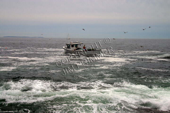 A rough Day at Pemaquid Point