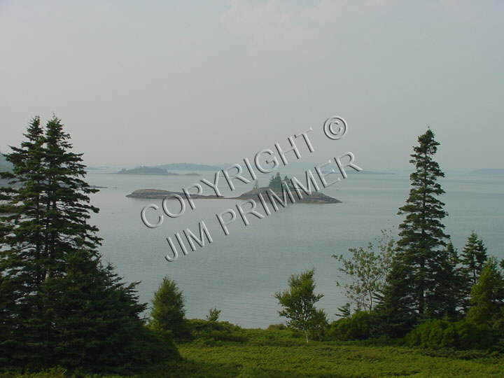 Sea Scape