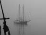 Fog II