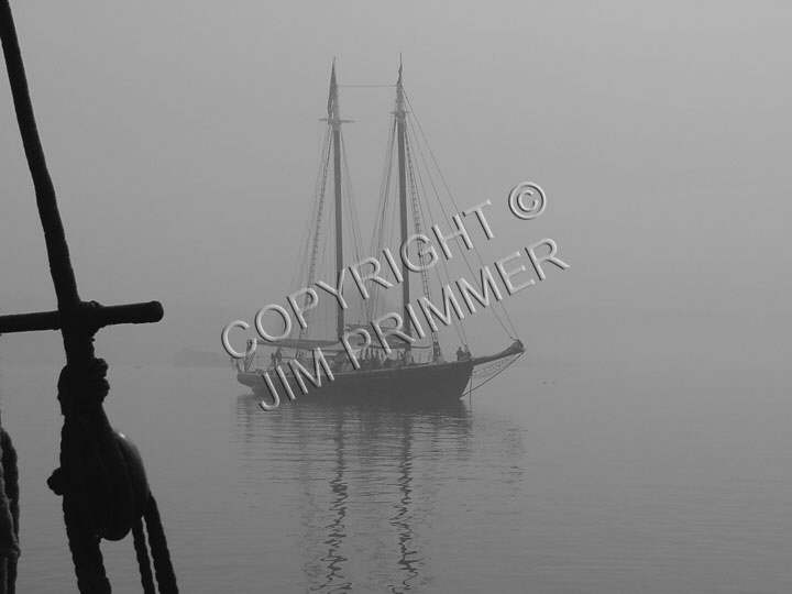 Fog II