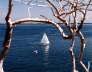 Framed Sailer