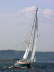 Small Sailer - Maine