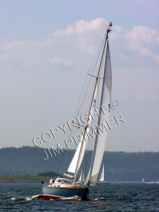 Small Sailer - Maine
