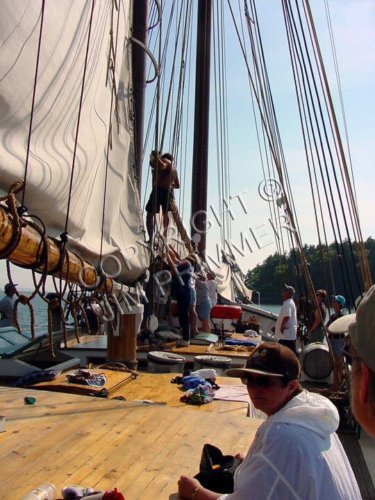 Working The Sails - Grace Bailey